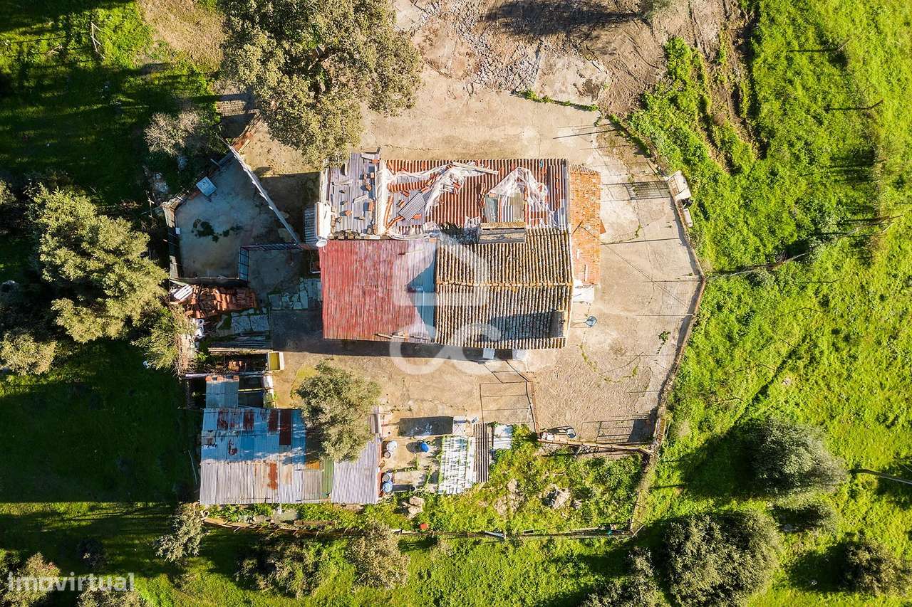 Terreno com 12ha, 2 casas urbanas e 10 casas rústicas | Évora - Grande imagem: 2/37