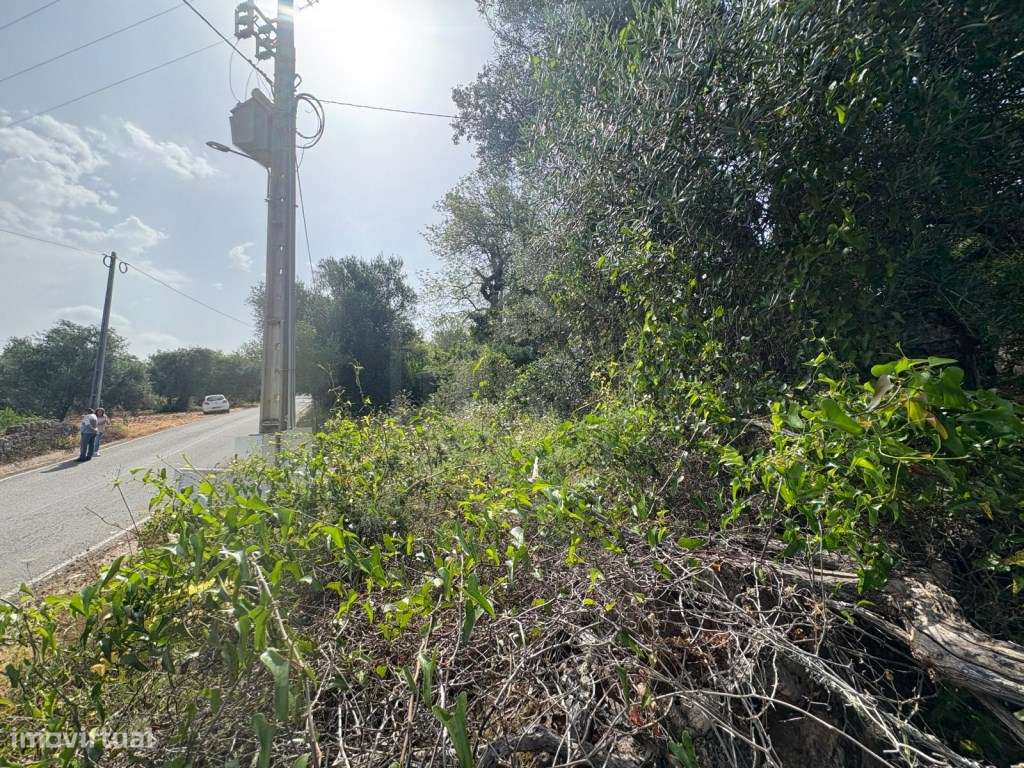 Terreno rustico inserido em malha urbana Tipo C, Salir, Algarve - Grande imagem: 5/10