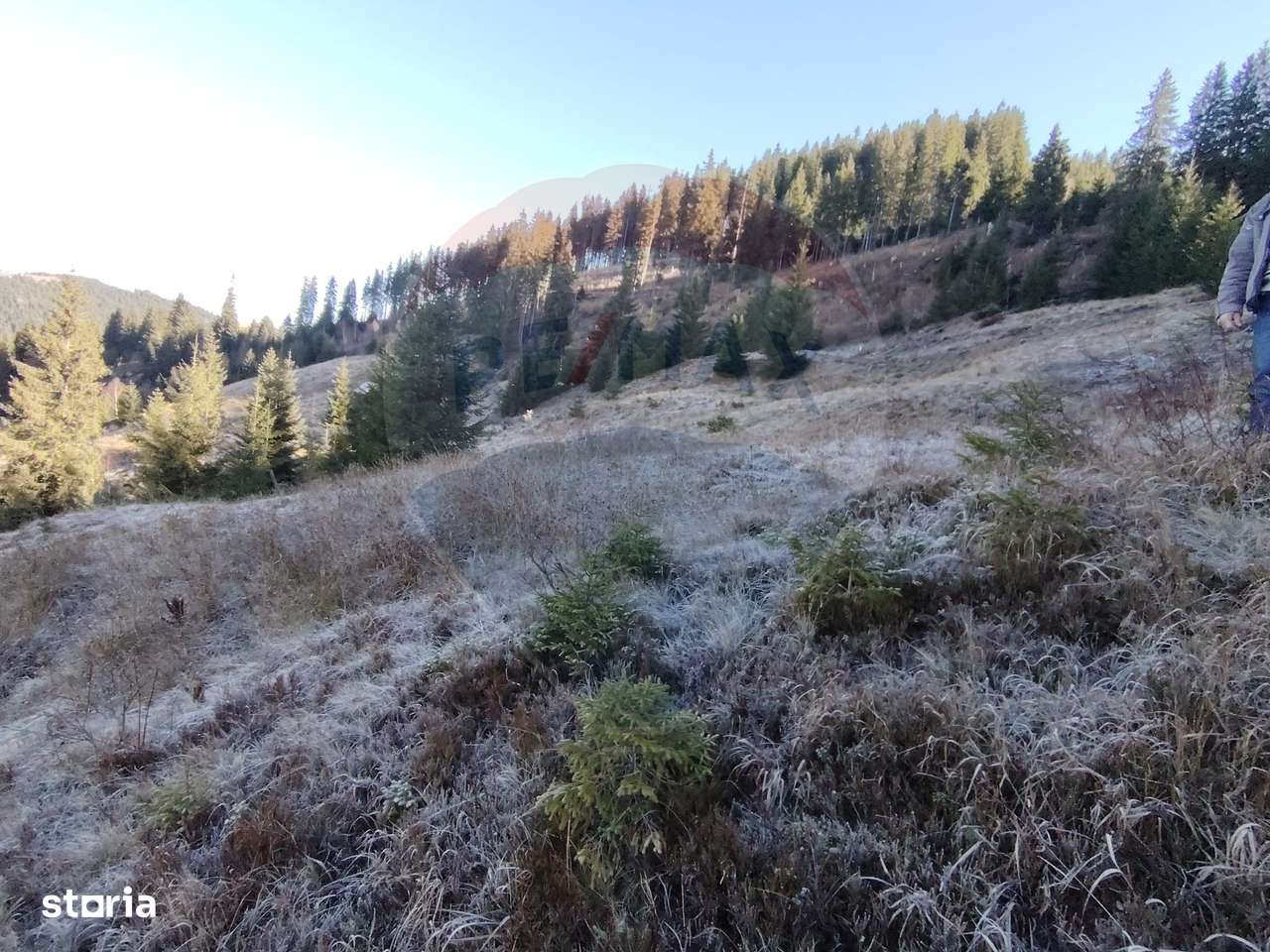 Teren 31,461mp Panaci / Prelungirea Ialovita-9