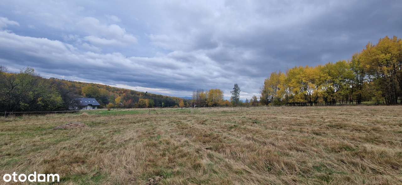 Działki budowlane widokowe, piękna okolica, sprzedam, gmina Szczytna - Pełny obrazek: 5/19