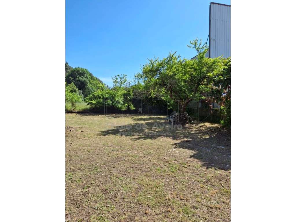 Quinta com 5.000 m2 e casa habitação T5 em Águeda-45
