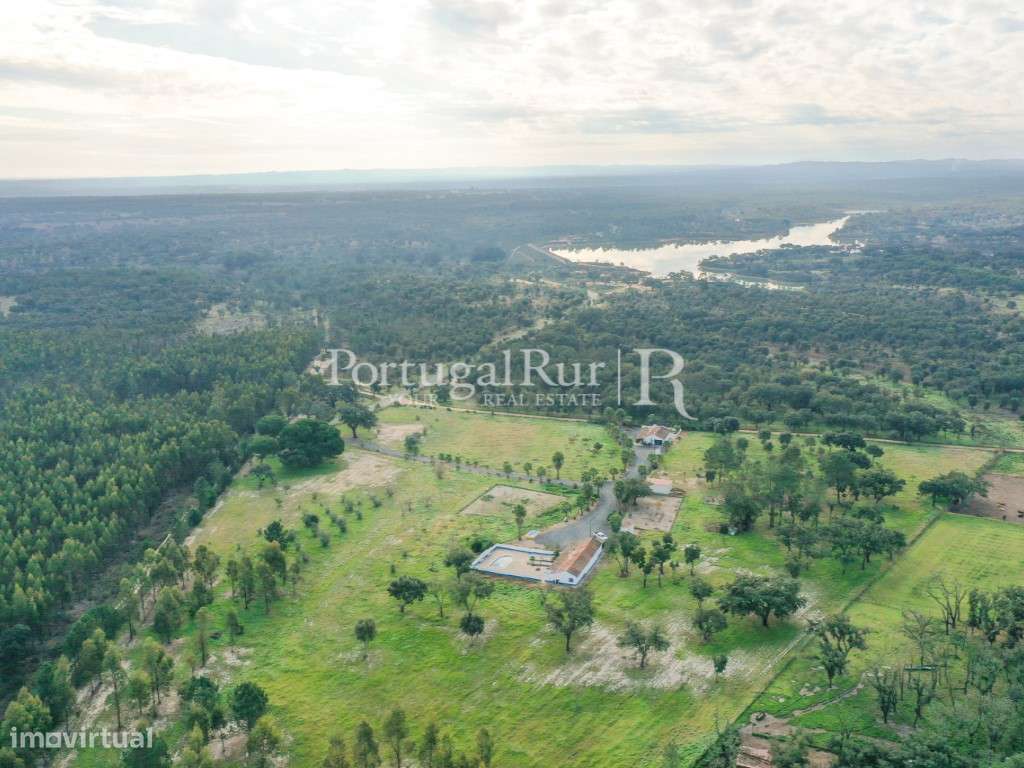Quinta de 5 hectares, com 2 moradias e piscina-50