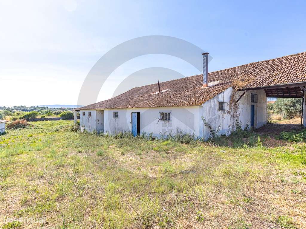 Lagar - Grande imagem: 5/9