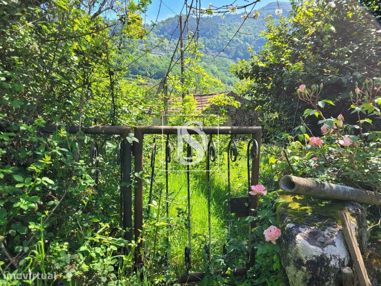 Moradia T1 em Pedra de 2 pisos em Pias, Cinfães - Grande imagem: 4/12