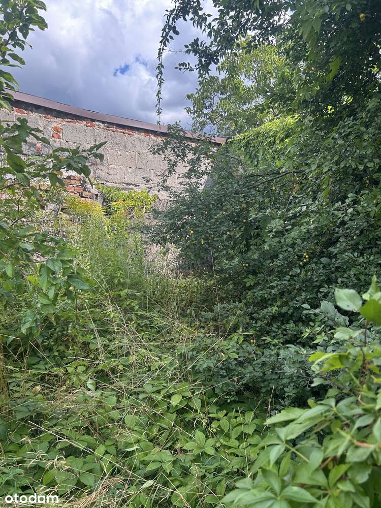 Dom na sprzedaż, 3 pokoje, 120 m², Tuszyn