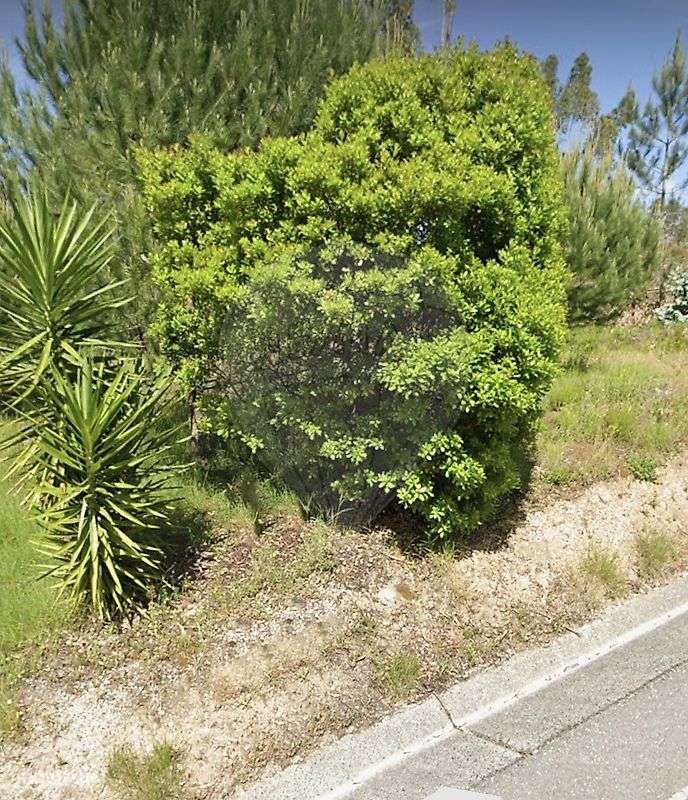 Terreno  para venda - Grande imagem: 3/5