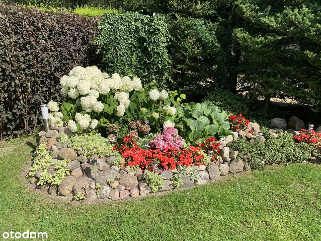 Dom z działką w spokojnej okolicy – Nienawiszcz k. Rogoźna - Pełny obrazek: 5/15