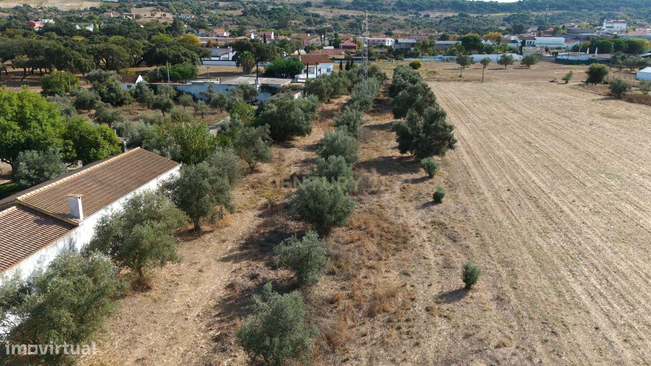 Terreno na Quinta do Anjo - Grande imagem: 5/14