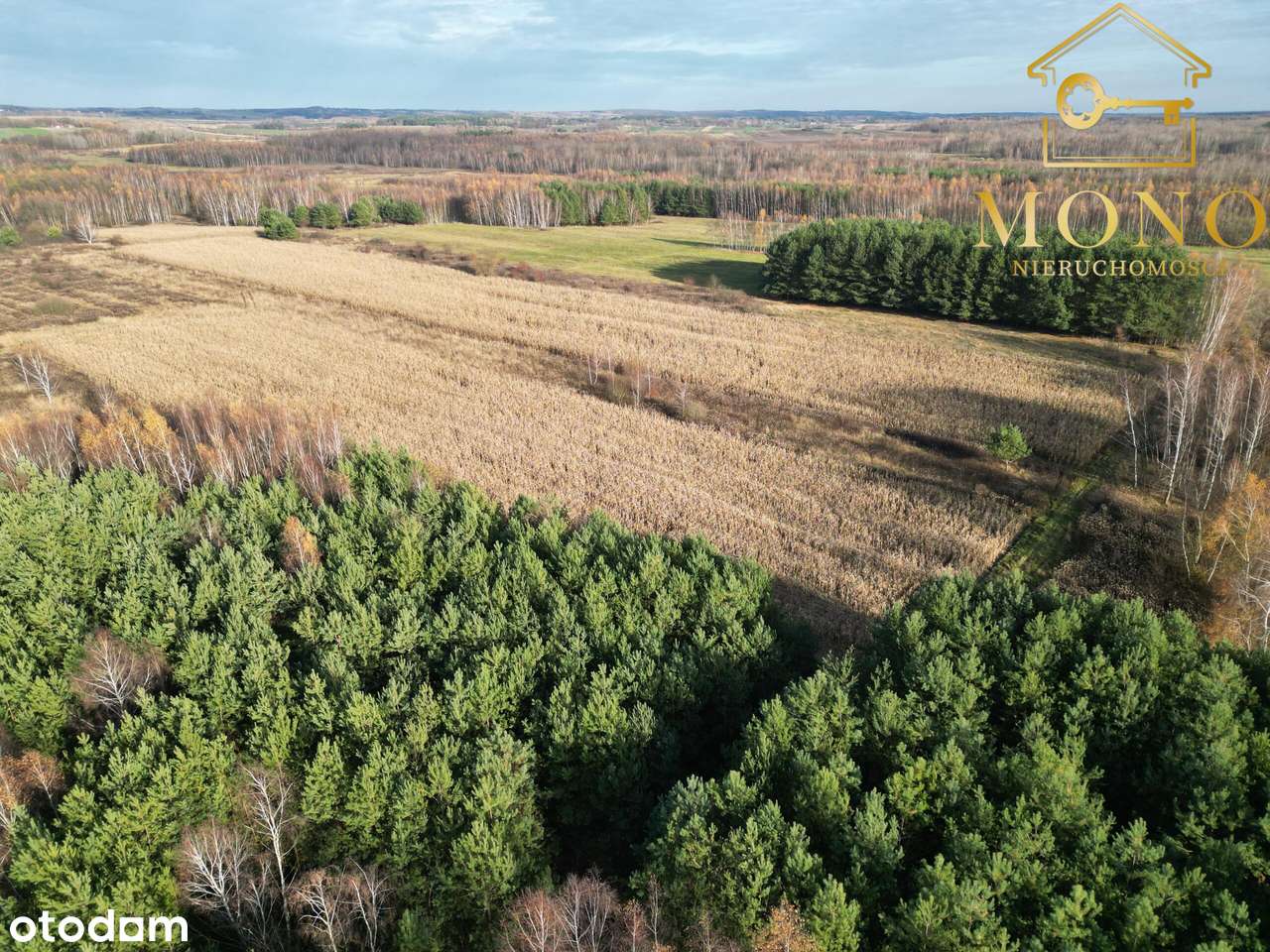 Działka 1,61 ha ok. 10 km od Buska-Zdrój-14
