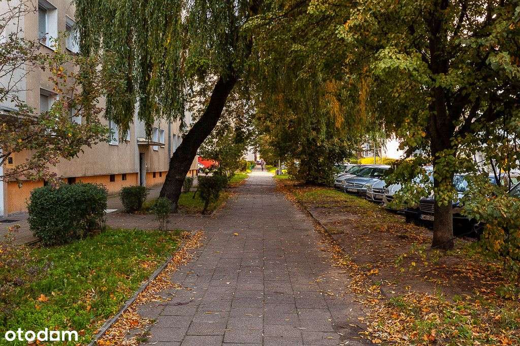 2 pokoje | 1 piętro | dwustronne-16