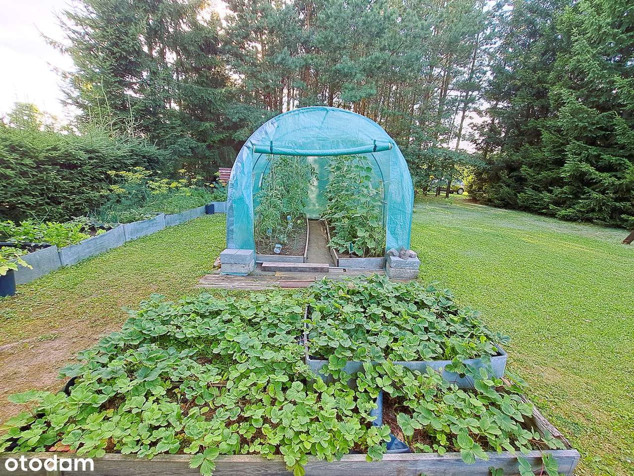 Piękny dom z linią brzegową j.Gaładuś, oraz domek dla gości!-10