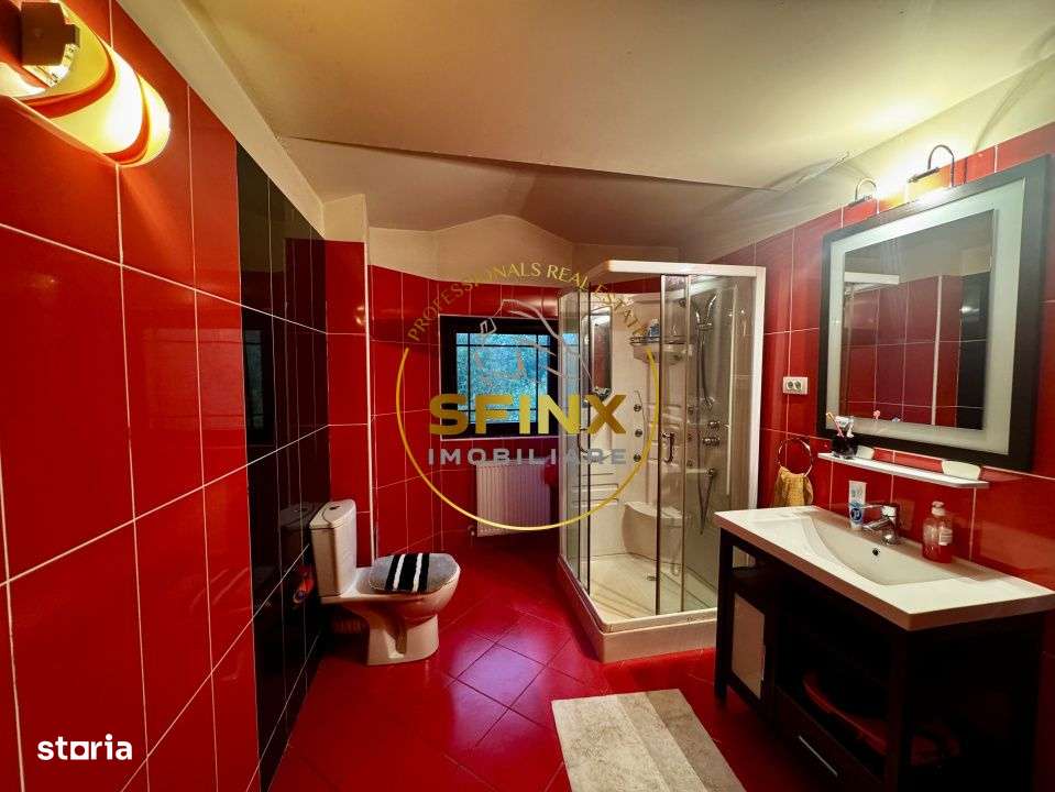 Casa 6 Camere, gradina spectaculoasa, Erou Iancu Nicolae-10