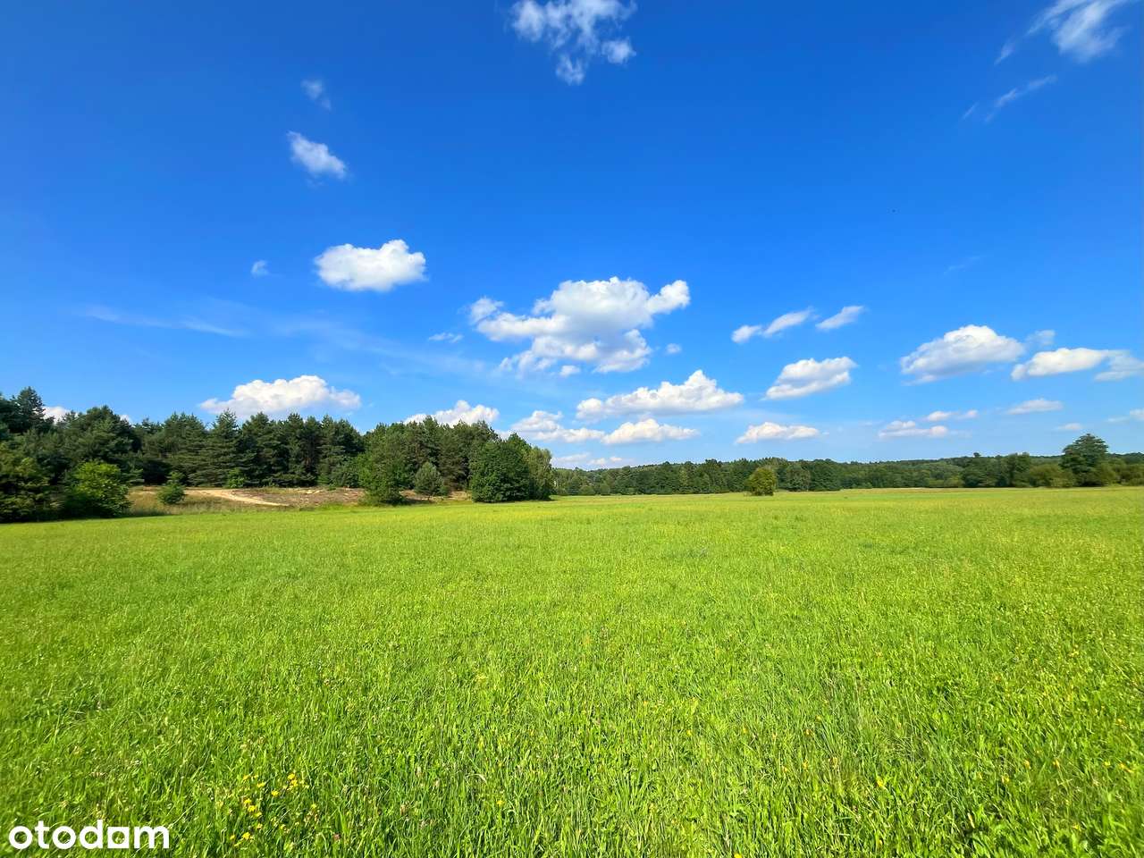 Melonek - działka w urokliwej okolicy nad rzeką - Pełny obrazek: 4/15