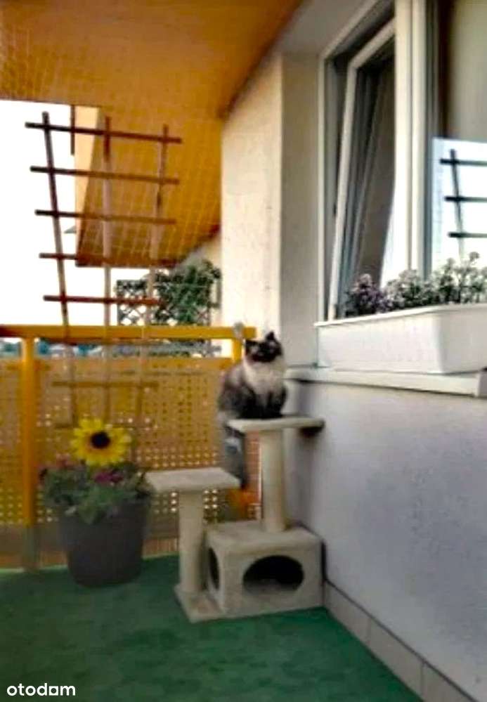 Zadbane, widokowe 2 pokoje z oddzielną kuchnią, duży balkon, Blok 2008-7