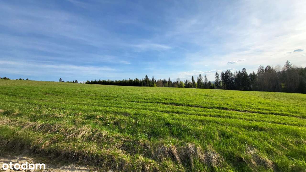 Działka budowlana, 2070 m2, Jaworzynka - Pełny obrazek: 5/15