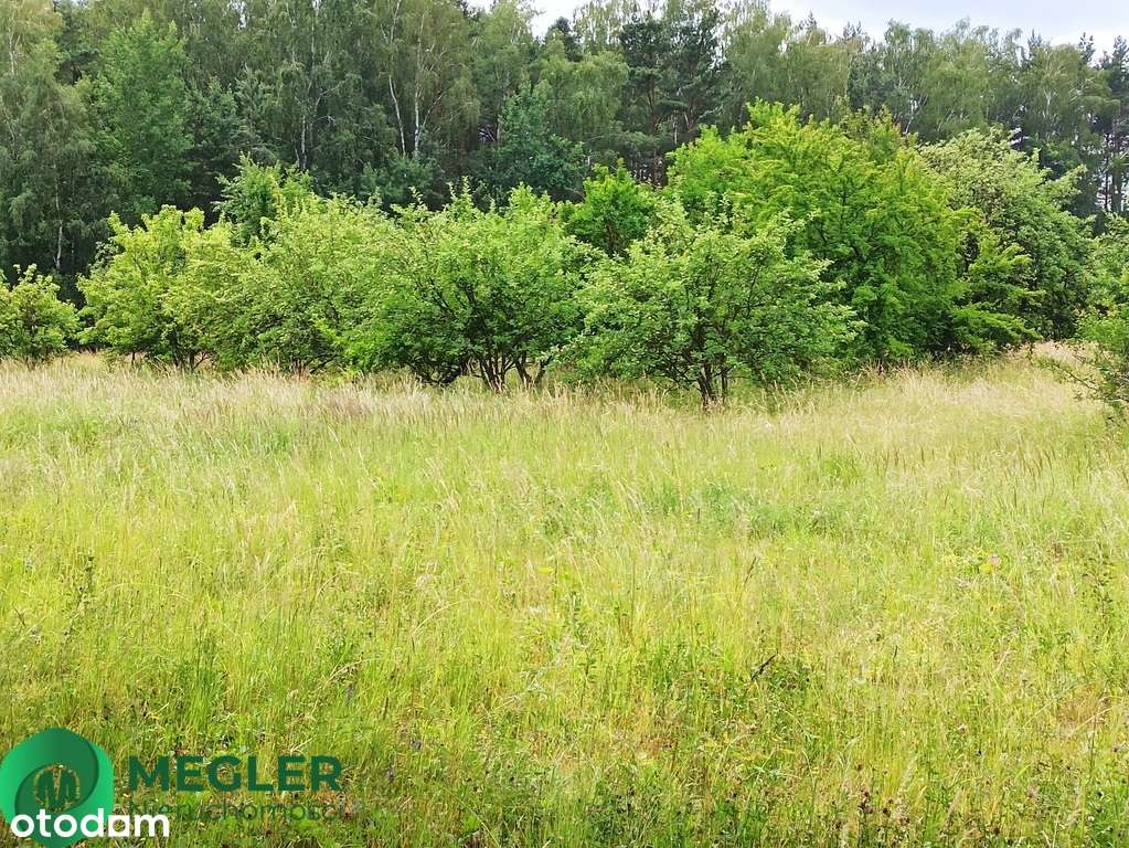 Działka niedaleko lasu-6