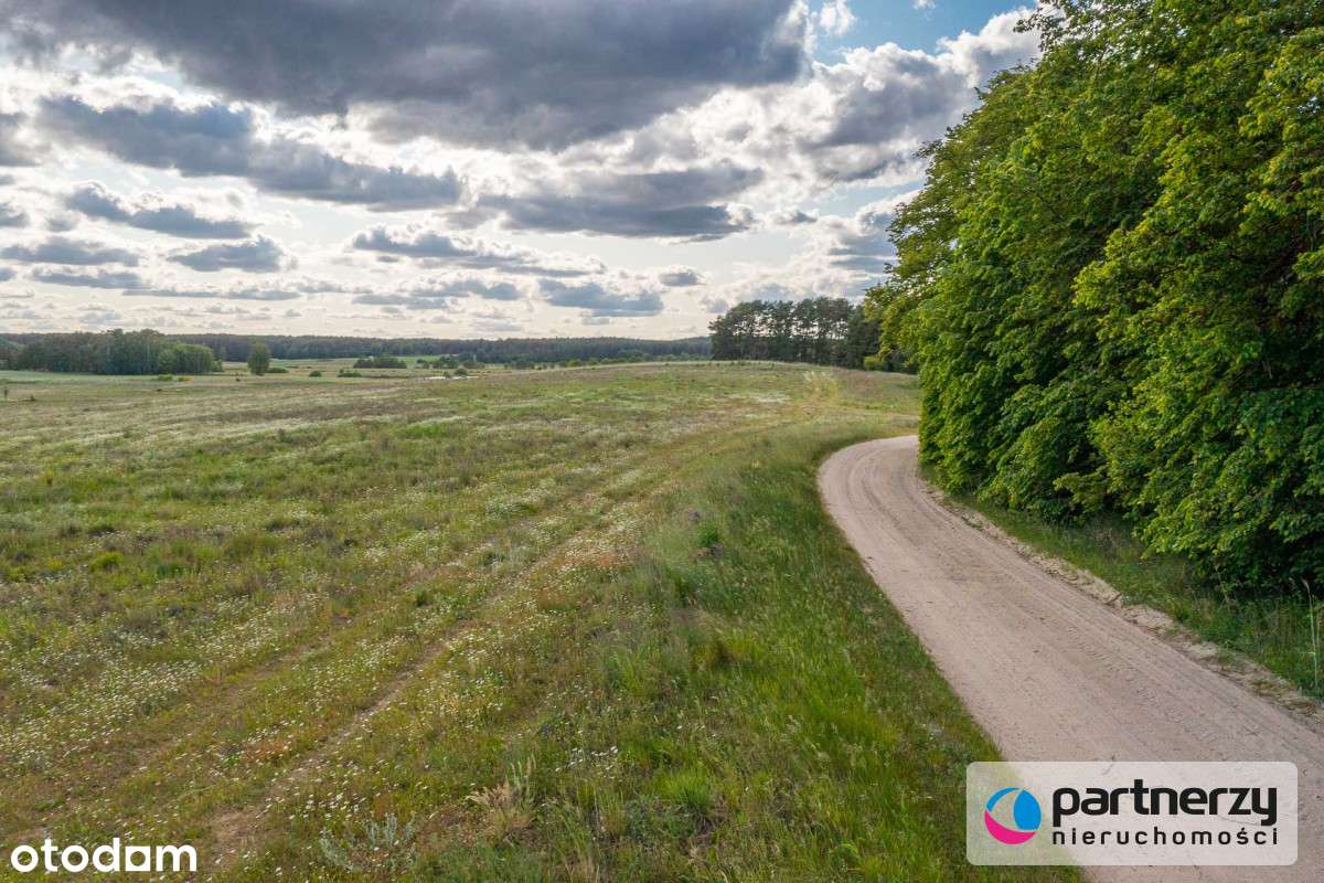 Urokliwa działka - Pełny obrazek: 5/8