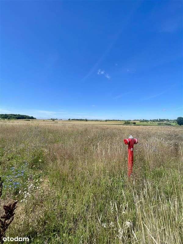 Działka Dobrzyca, Okazja, pilna sprzedaż! Wz - Pełny obrazek: 5/12