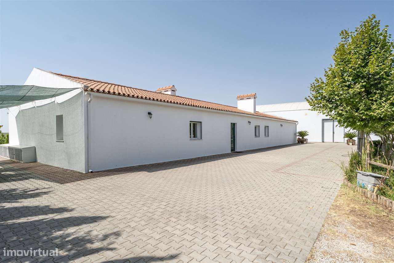 Quinta Biológica - Monte de Palma em Sao Manços com negócio.-30