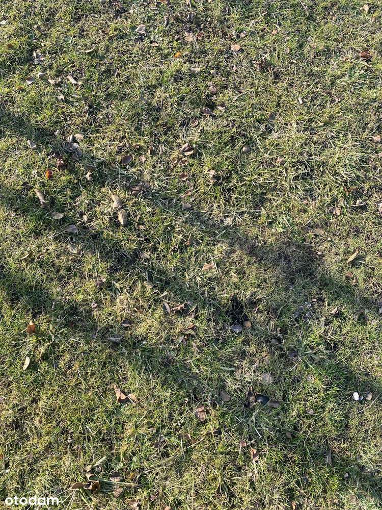 Działka w spokojnej okolicy Kędzierzyna - Dębowa-0