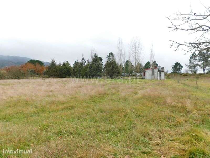 Quintinha / Seia, Seia, São Romão e Lapa dos Dinheiros - Grande imagem: 4/12
