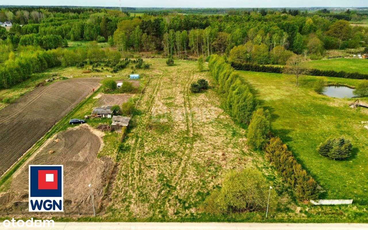 Działka budowlana, 9800m2, Wytowno - Pełny obrazek: 4/16