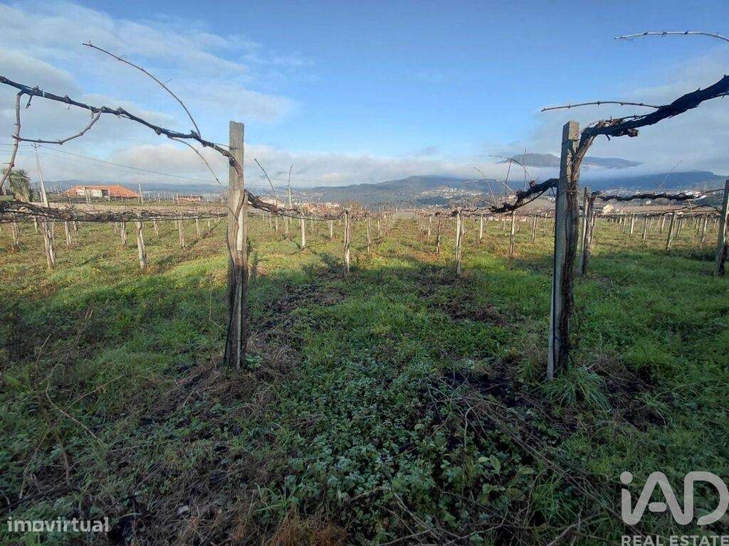 Terreno em Messegães, Valadares e Sá - Grande imagem: 5/6