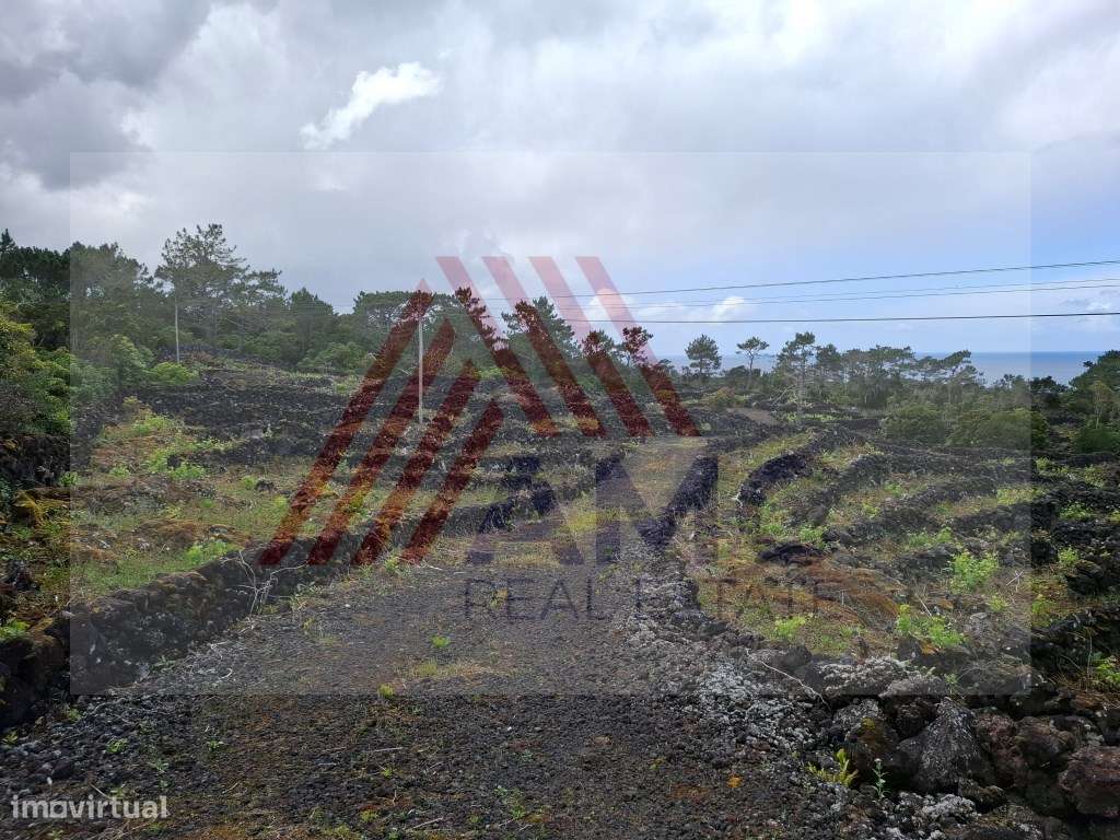 Terreno Rústico c/Vinha e viabilidade de Construção - Grande imagem: 5/12