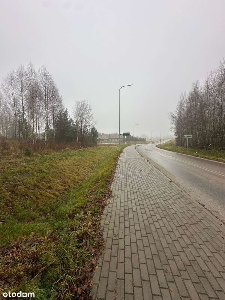 Działka w Kamieniu 2048 | Ściana Lasu-2