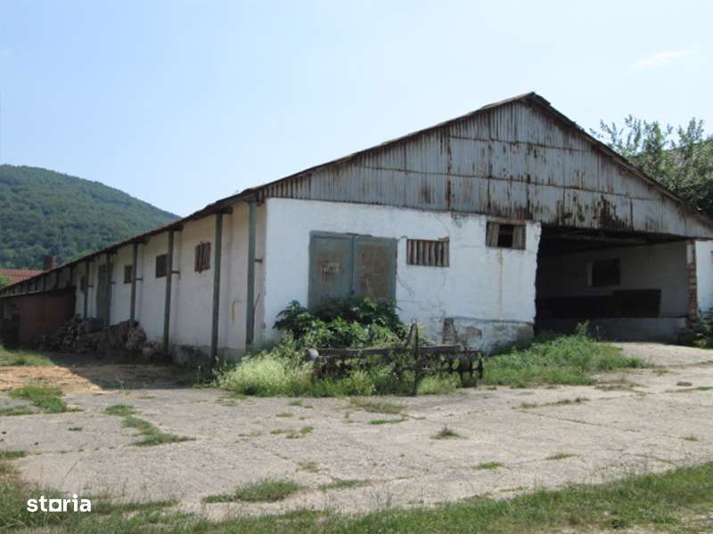 Teren agricol de 12 579 mp si contructii 5 161 mp-2