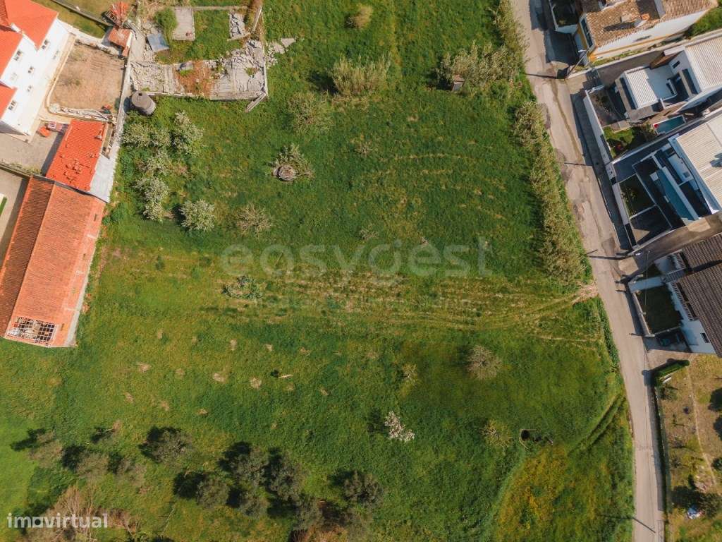 Terreno com viabilidade de construção Campo Amarelo- Leiria - Grande imagem: 5/8