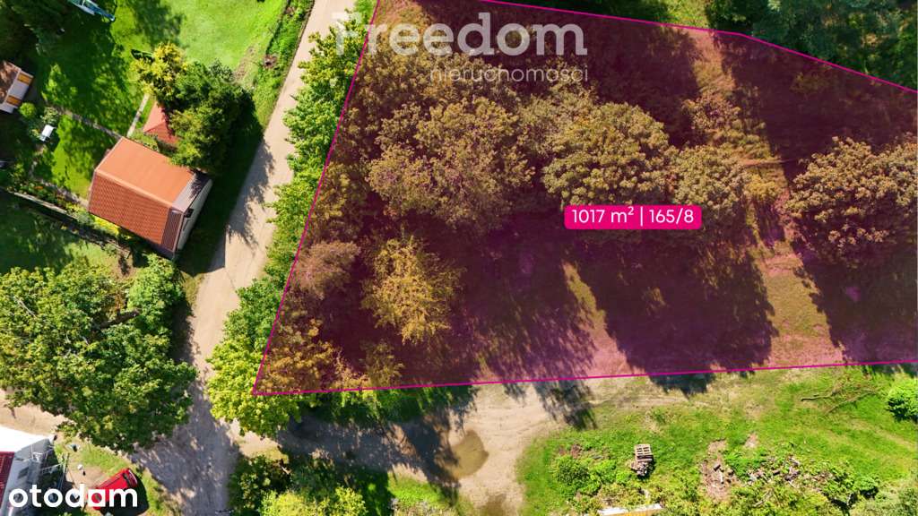 Działka budowlana nad jeziorem Ołów – Ryn - Pełny obrazek: 4/17