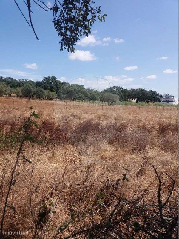 Terreno  para venda - Grande imagem: 3/5