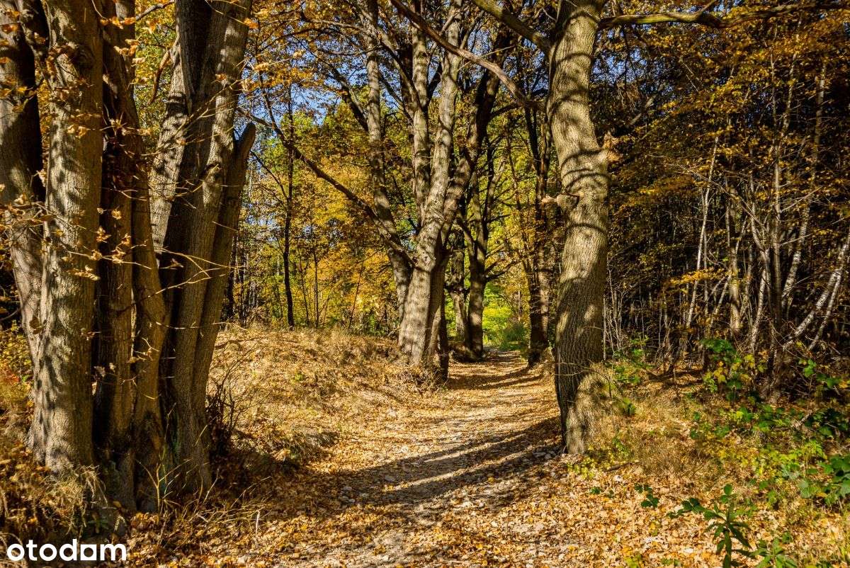 Ostatnie 2 wolne połówki w inwestycji. - Pełny obrazek: 5/5