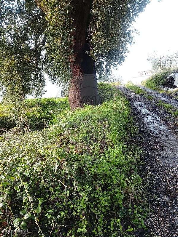 Terreno  para venda - Grande imagem: 3/9