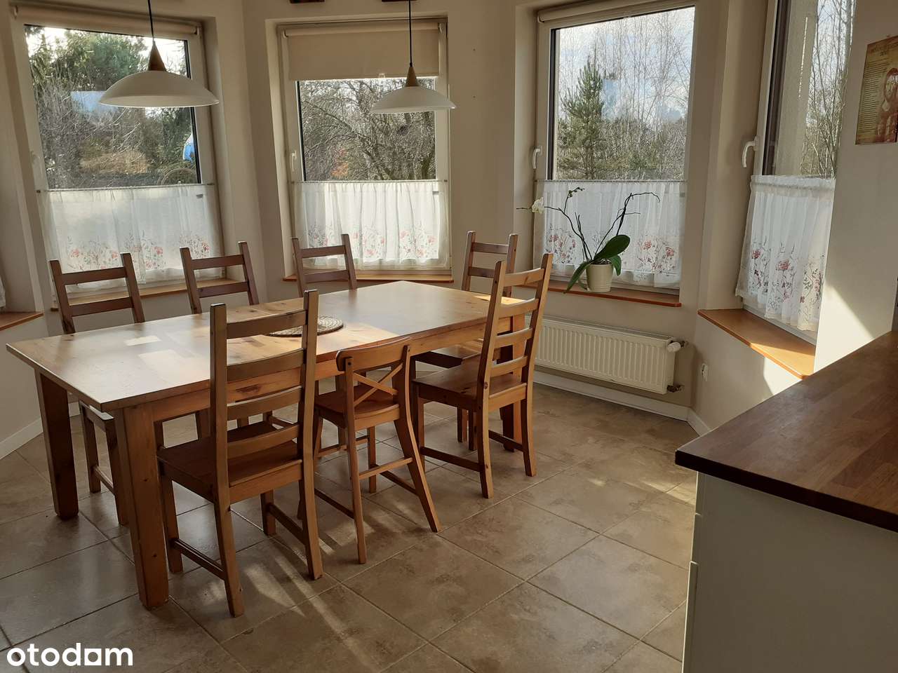 Dom przy Puszczy Kampinowskiej, 30 min od Warszawy - Bezpośrednio . - Pełny obrazek: 4/11