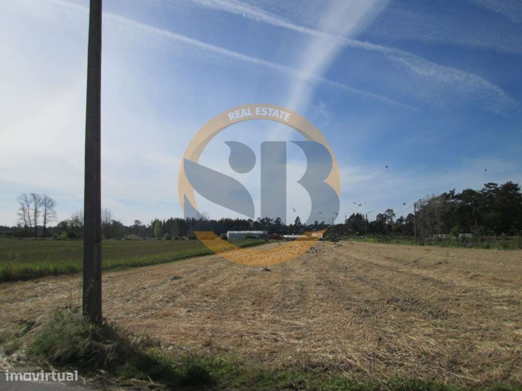 Terreno em Ovar - Grande imagem: 4/8
