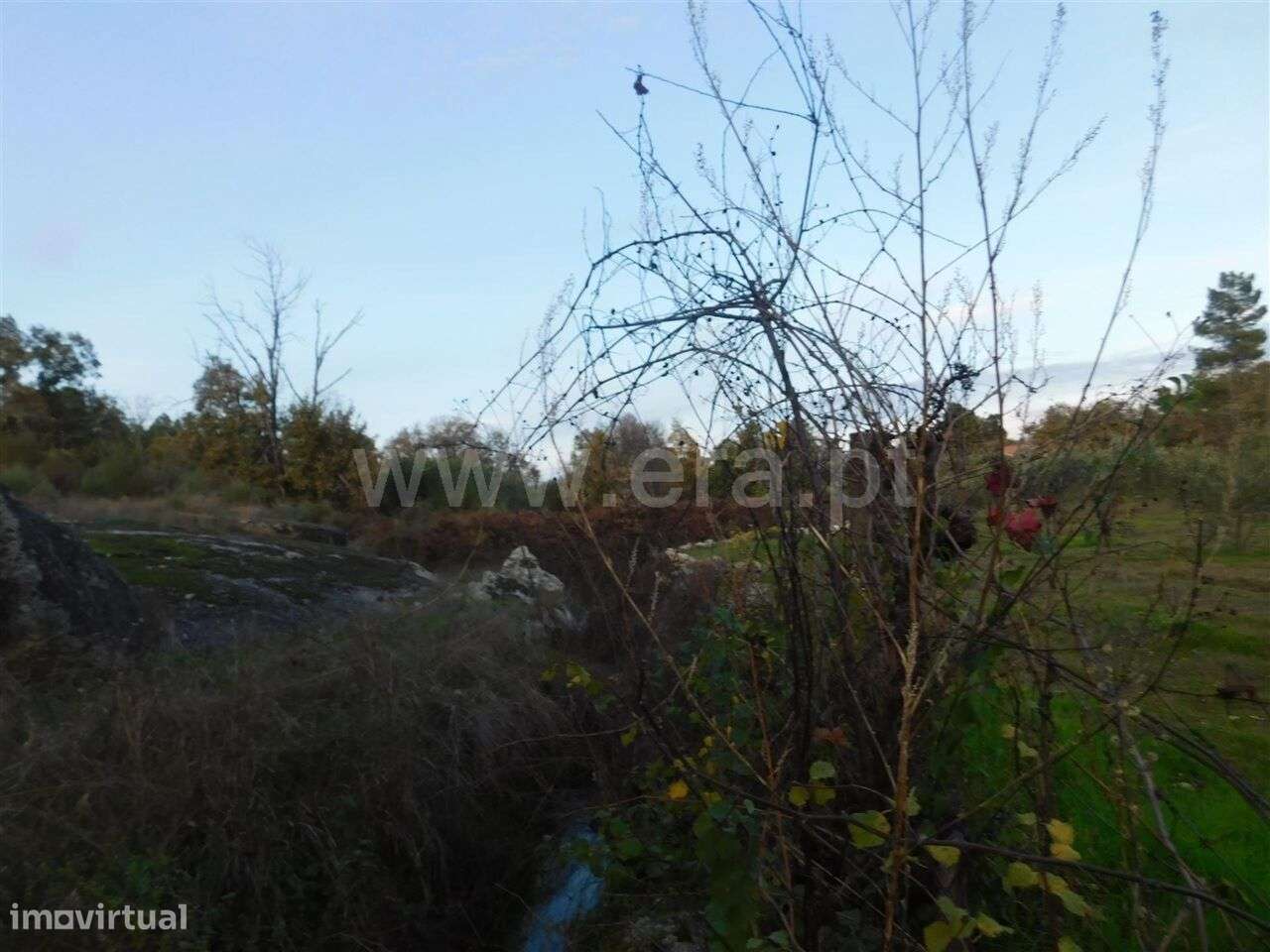 Quinta T1 / Fundão, Orca - Grande imagem: 5/11