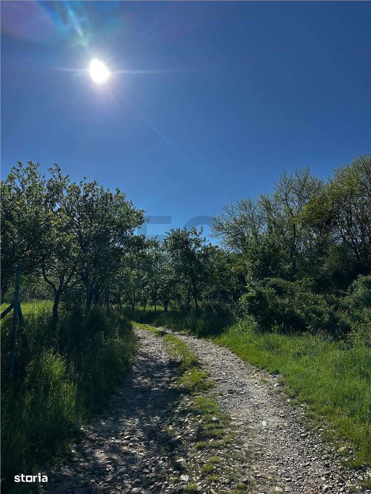 Reco Teren intravilan Beius - Imagine principală: 3/3