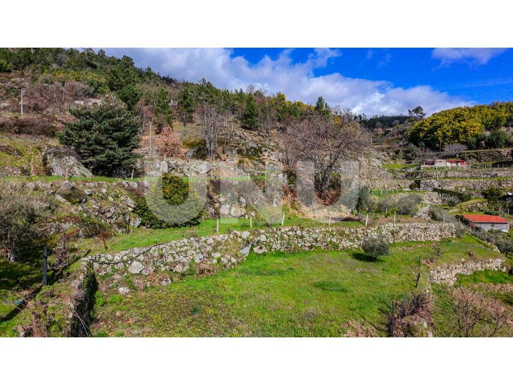 Quinta T2 com Habitação, Infraestruturas Agrícolas e Terreno com Vi...-35