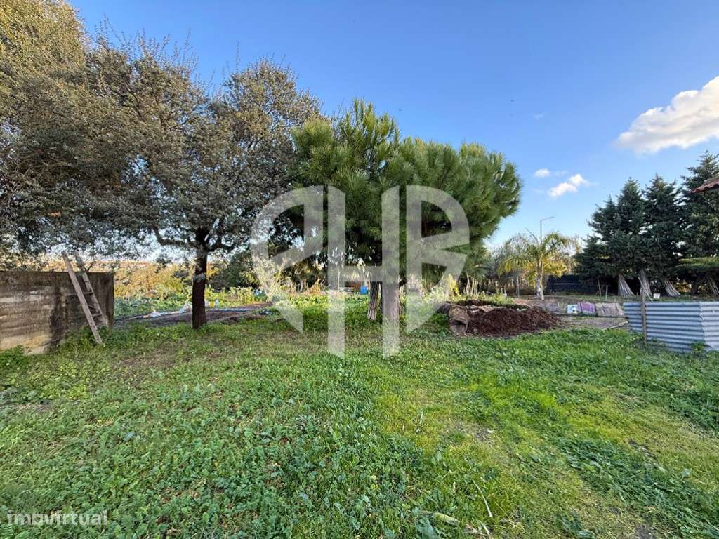 Moradia T3 + Área Terreno 4.150m2 + Atracadouro // P/Recuperar-39