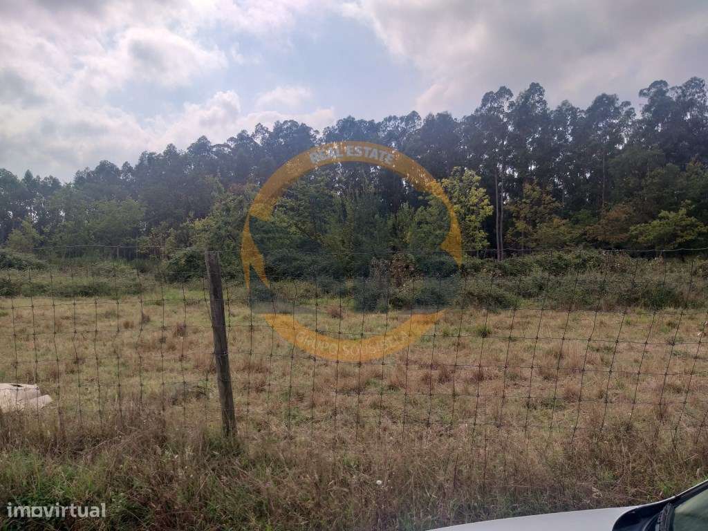 Terreno Industrial Palmaz - Grande imagem: 4/4