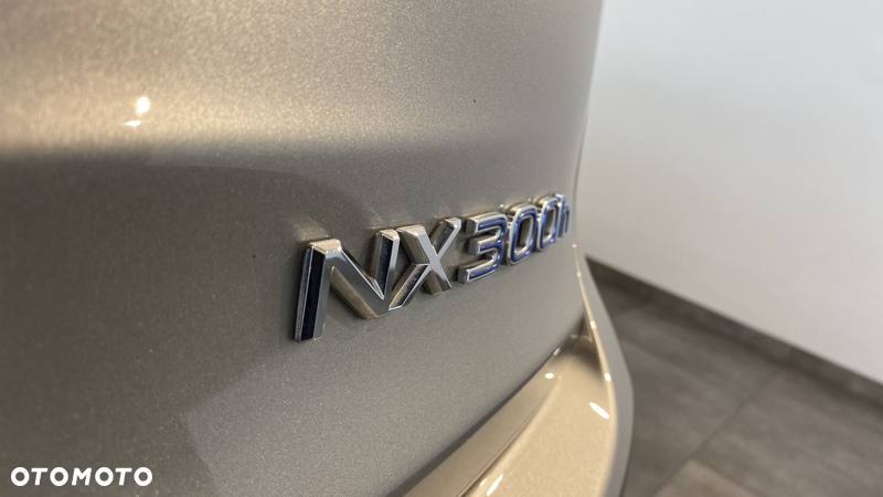 Lexus NX - 28