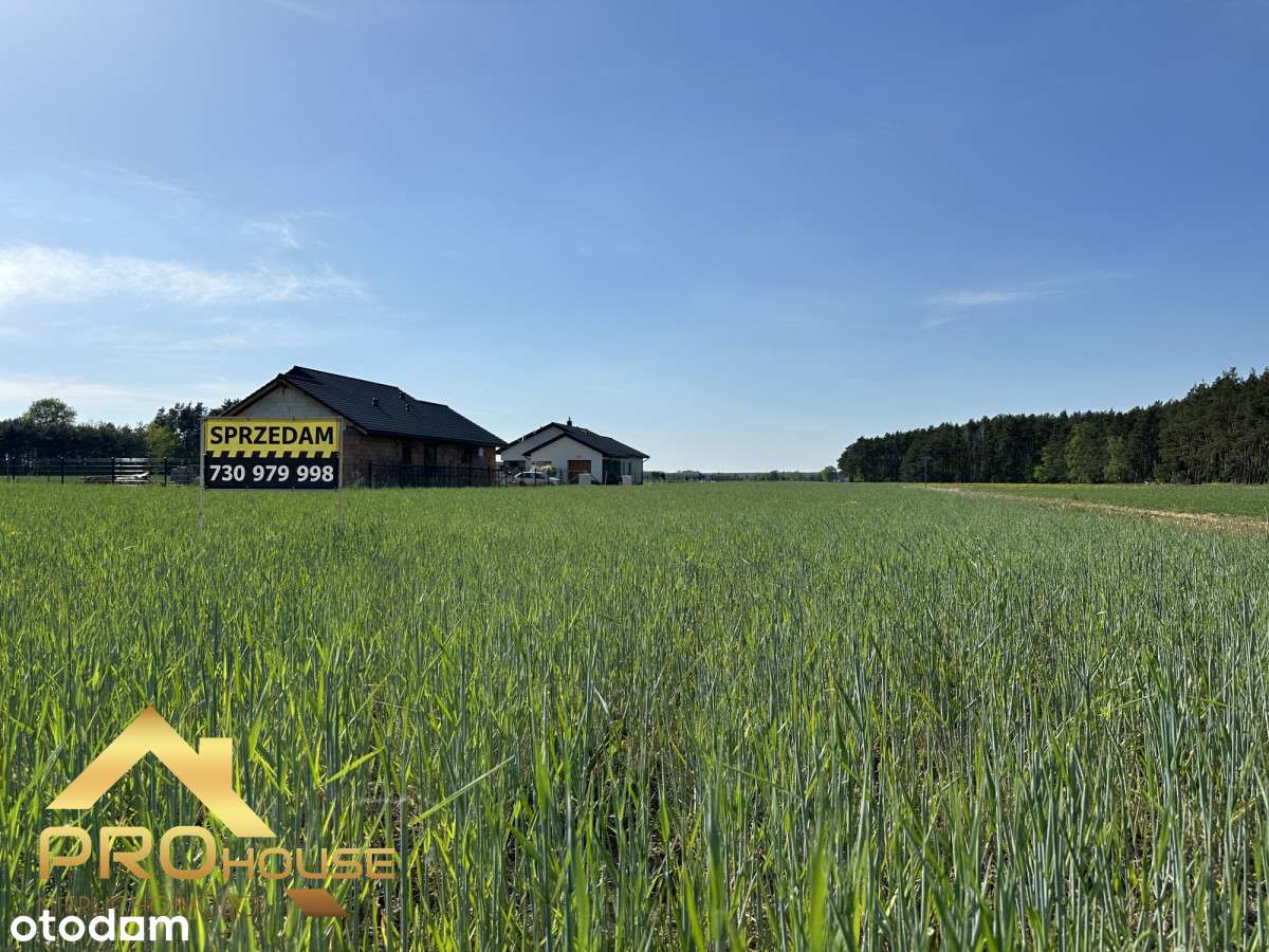 Zławieś Mała, działka z Mpzp, nowe osiedle domków - Pełny obrazek: 4/4