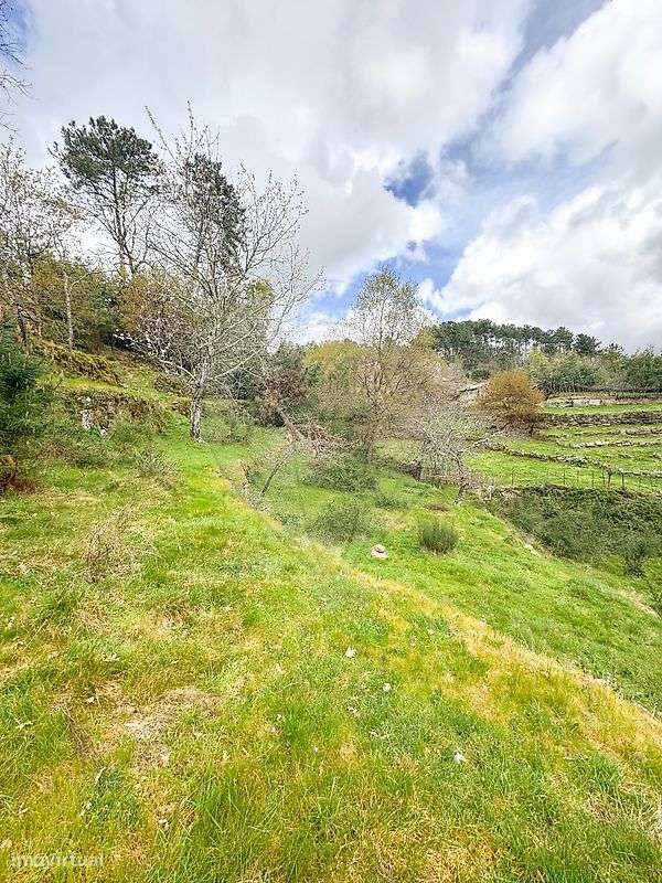 Terreno  para venda - Grande imagem: 5/7