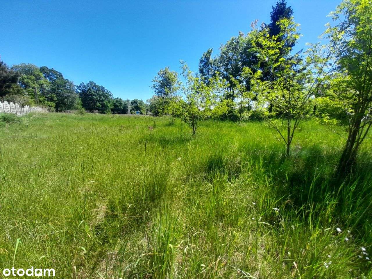 Sprzedam działkę na granicy Żarek i Mętkowa - 18a - Pełny obrazek: 5/20