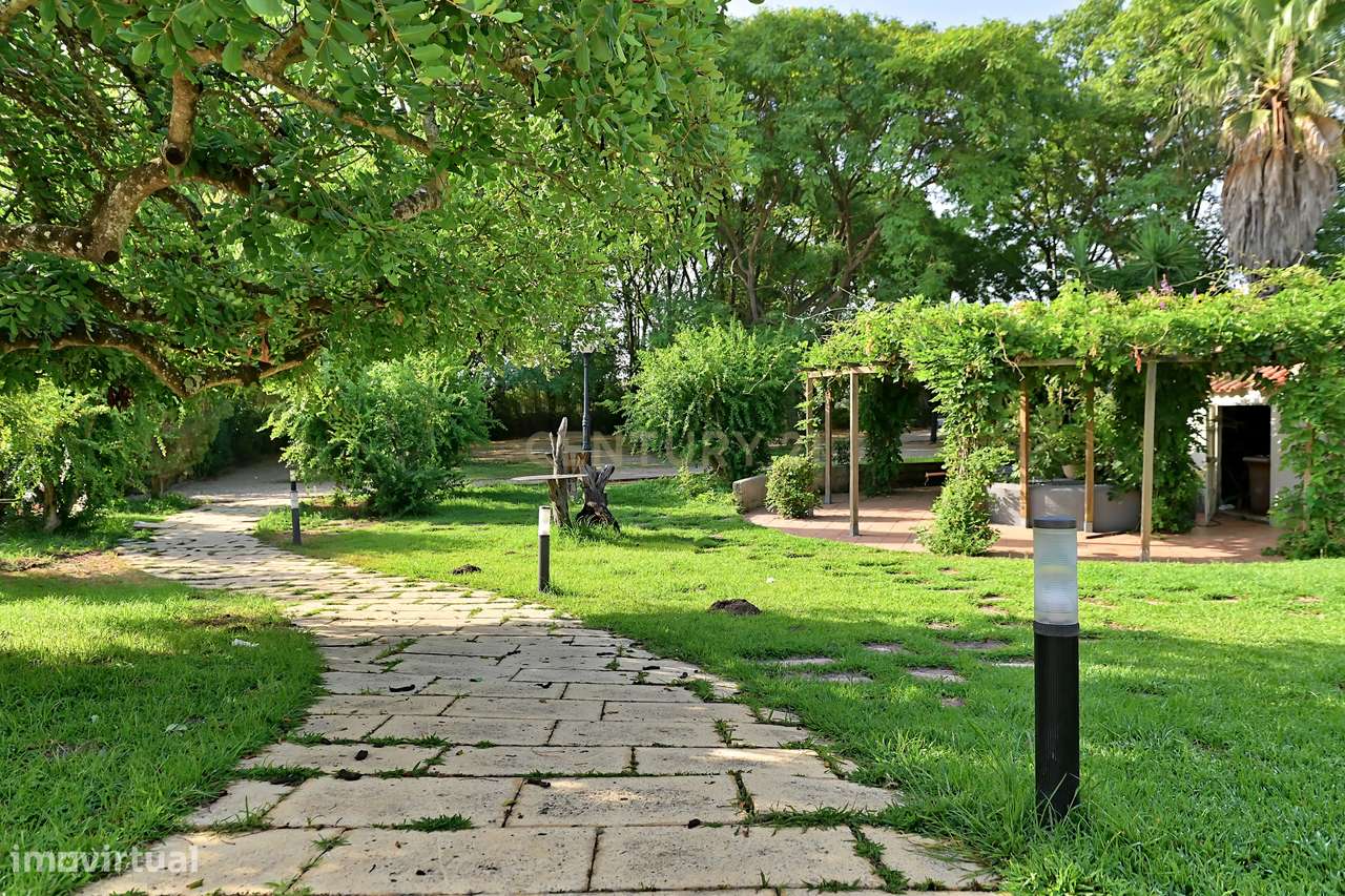 Quinta com moradia para venda entre as vinhas de Palmela e as planície - Grande imagem: 4/50