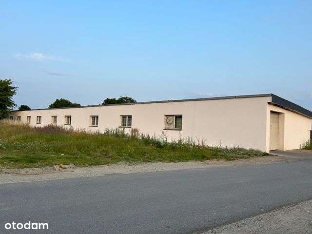 Magazyn blisko LG - Pełny obrazek: 5/7