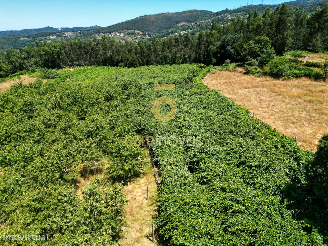 Quinta T4 Venda em Fornelos,Cinfães-9