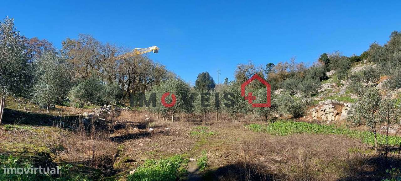 Terreno Agrícola com boa exposição solar - Grande imagem: 5/6
